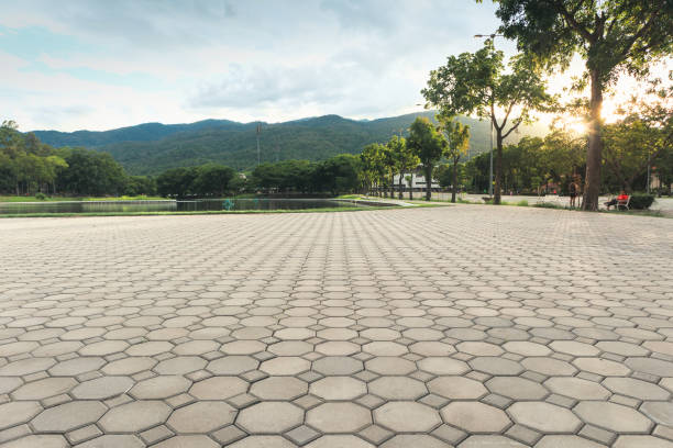 Best Residential Paver Driveway  in University Gardens, NY
